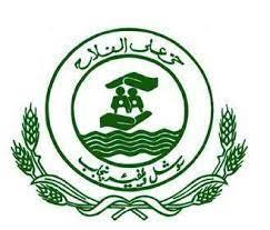 Government of Punjab / Social Welfare